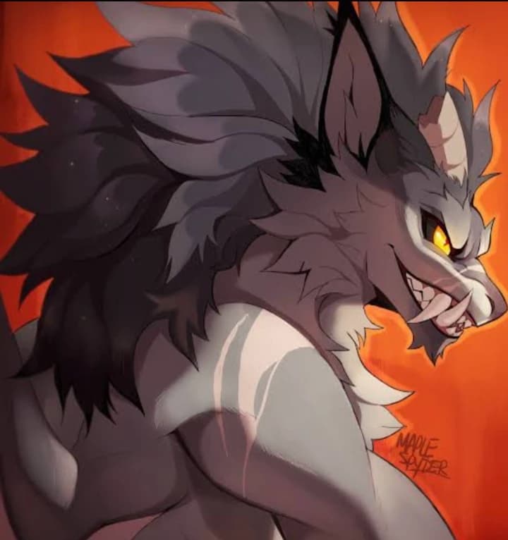 Brody  thumbnail