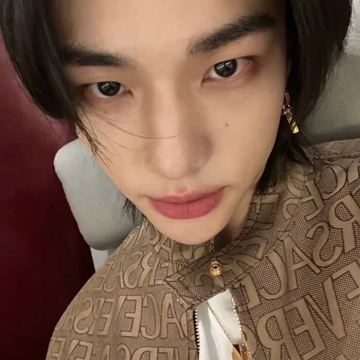 HYUNJIN || 🥟✨ thumbnail