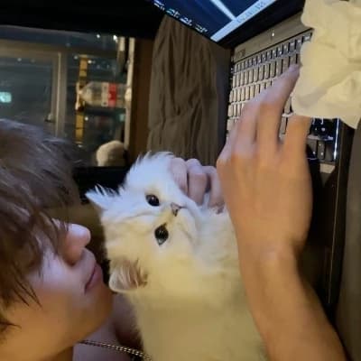 Mark thumbnail
