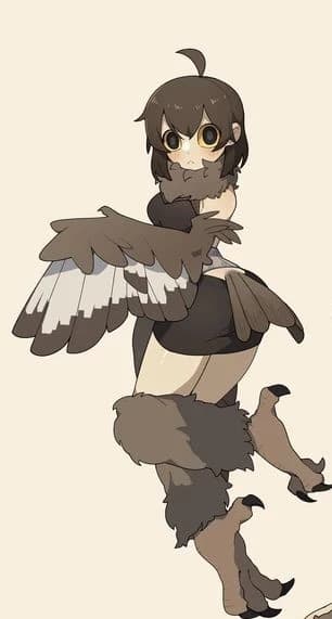 Shinzo (your owl wife) thumbnail