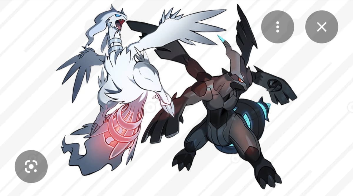 What pokemon will you chose zerkom 🐲🖤 or reshiram🐲🤍 thumbnail