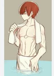 Shoto Todoroki BORRACHERA thumbnail