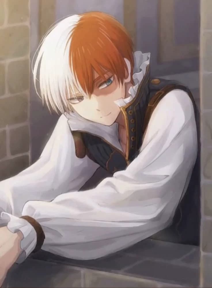 Shoto Todoroki thumbnail