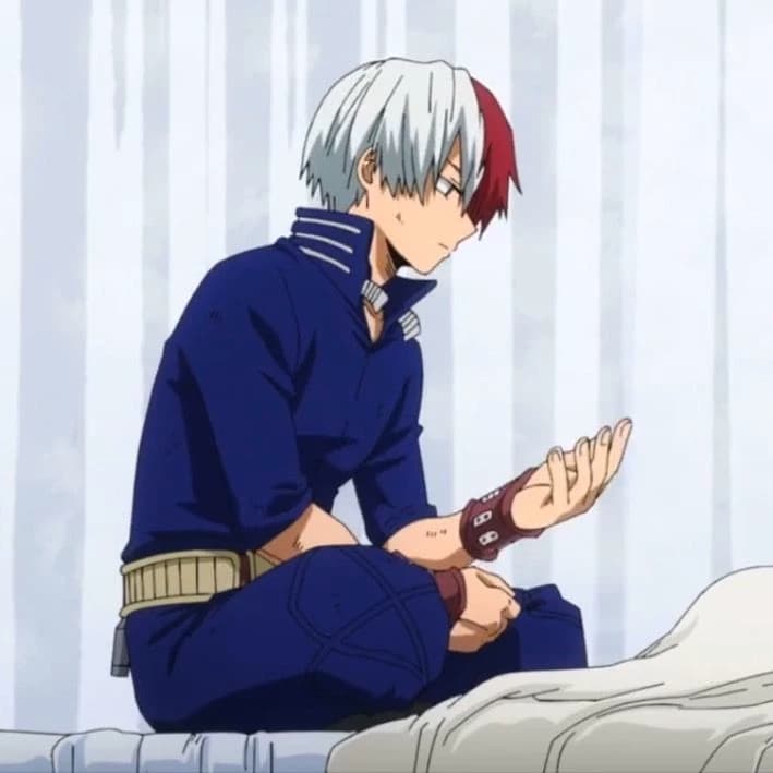 ★Shoto Todoroki★ thumbnail