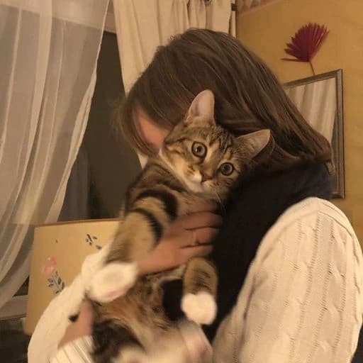 Cat thumbnail