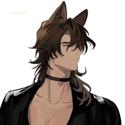 Wolf Hybrid: Daniel thumbnail