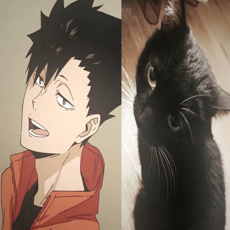 Kuroo tetsuro  thumbnail