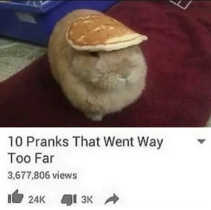 Pies thumbnail
