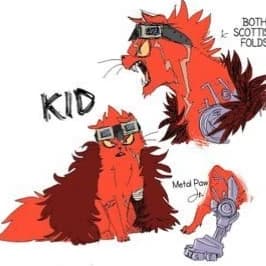 Cat Eustass Kid  thumbnail