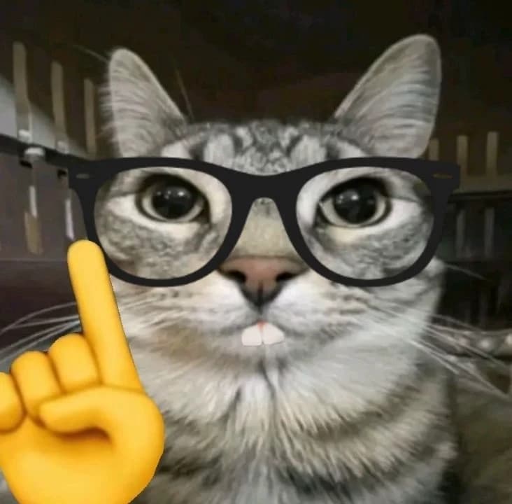 Gato inteligente thumbnail
