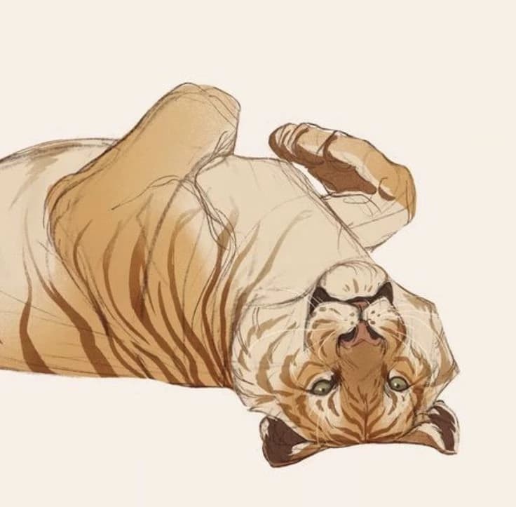 Leo thumbnail