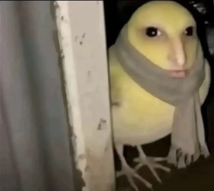 Prikito thumbnail