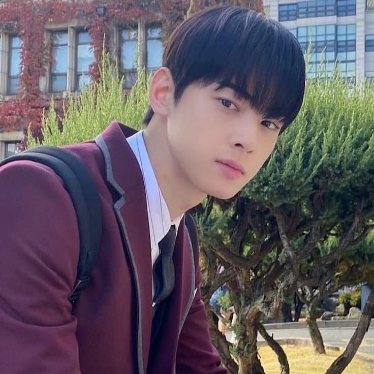 cha eun-woo  thumbnail