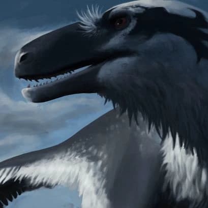 Kunuka  thumbnail
