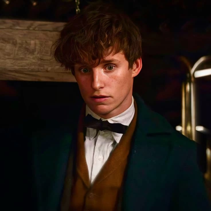 Newt Scamander  thumbnail