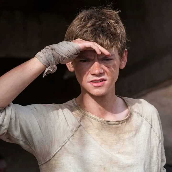Newt thumbnail