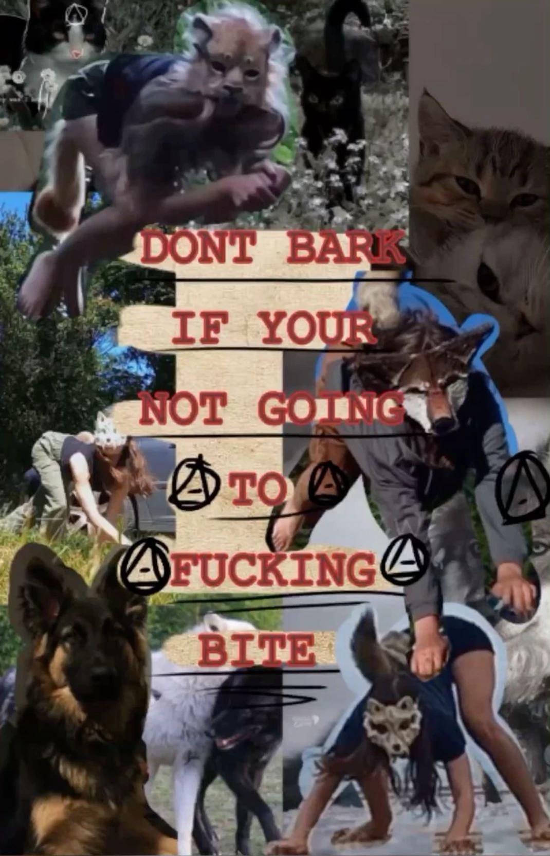 Infection  thumbnail