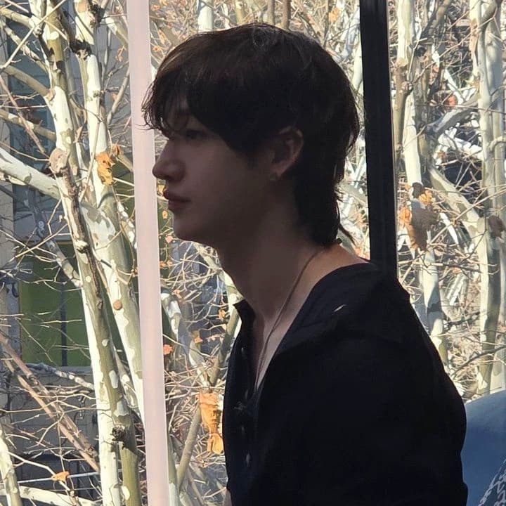 Bang Chan thumbnail