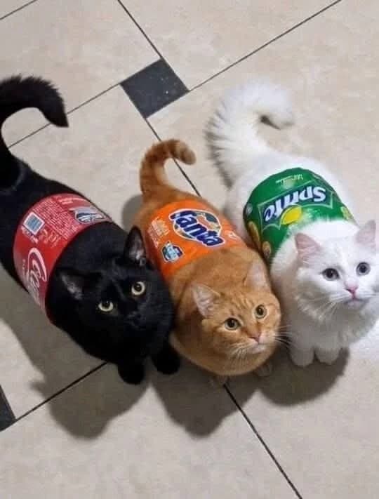 Mewgenics v2 thumbnail