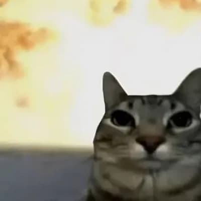 Seraphina, The Pyrotechnic Predator thumbnail