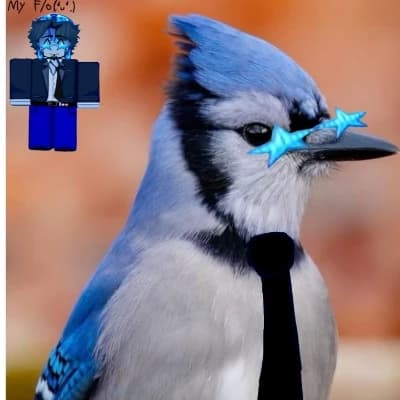 Blu3Jay-Gaio-Azul thumbnail