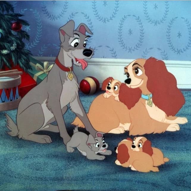 Lady and The Tramp thumbnail