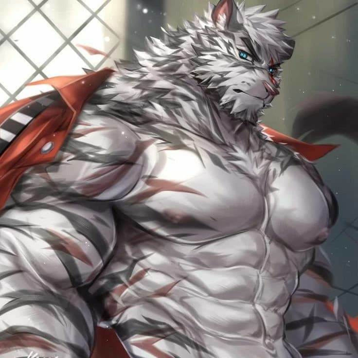 Tora thumbnail