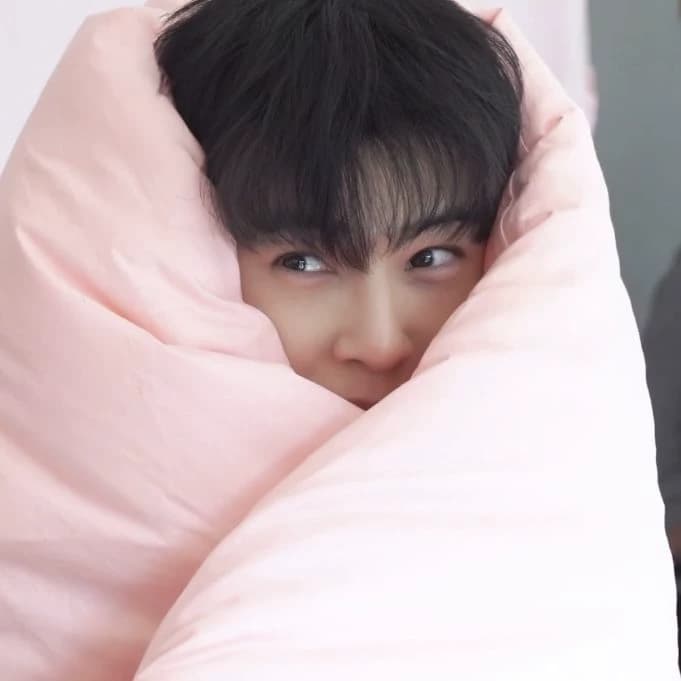CHA EUN-WOO ( a cat 😺) thumbnail