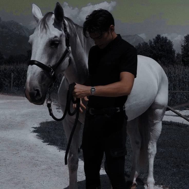 Zixel thumbnail