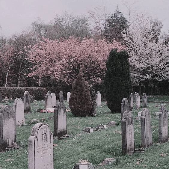 cementerio  thumbnail