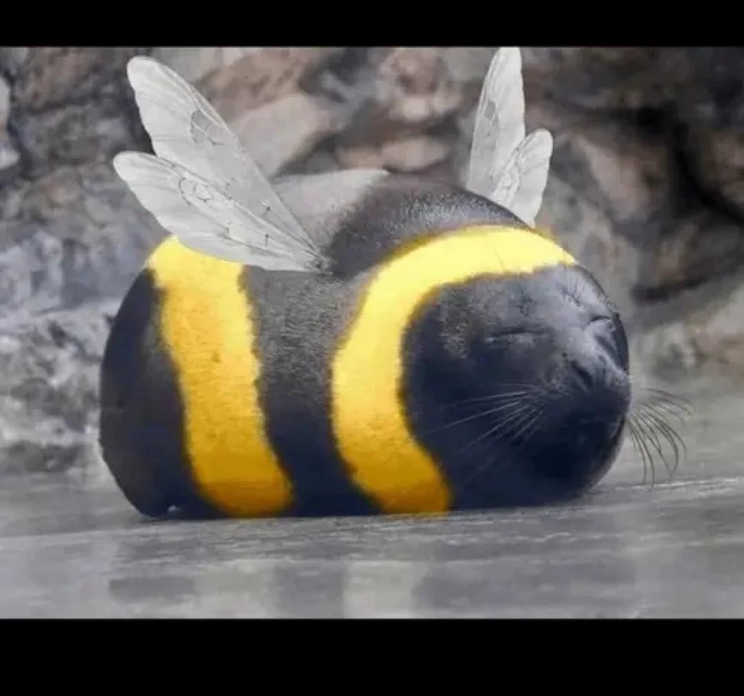 Seal bee thumbnail