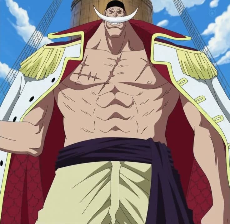 Whitebeard thumbnail