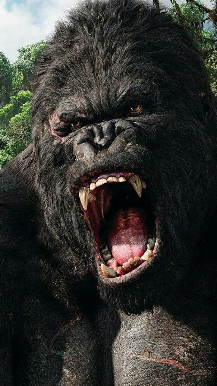 King Kong - Rei da Ilha da Caveira thumbnail