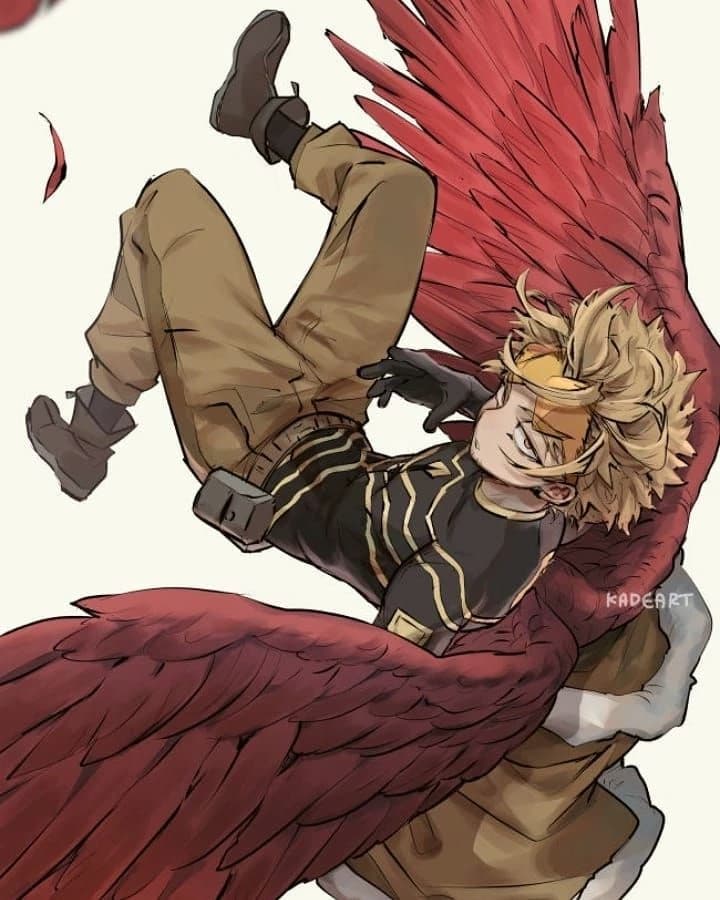 Hawks thumbnail