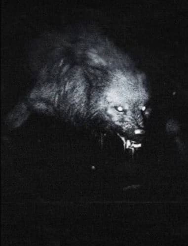 Teenwolf redemption (10 years after 3.0) thumbnail