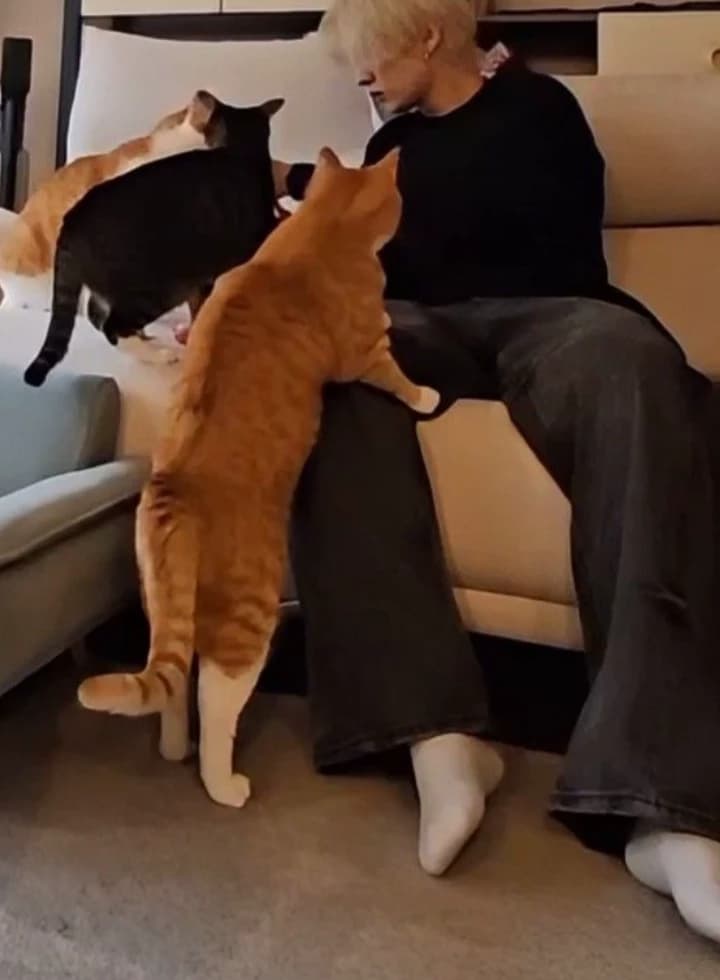 Lee know  thumbnail
