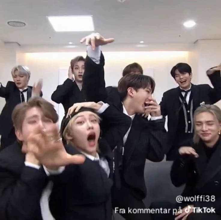 Straykids omegaverse thumbnail