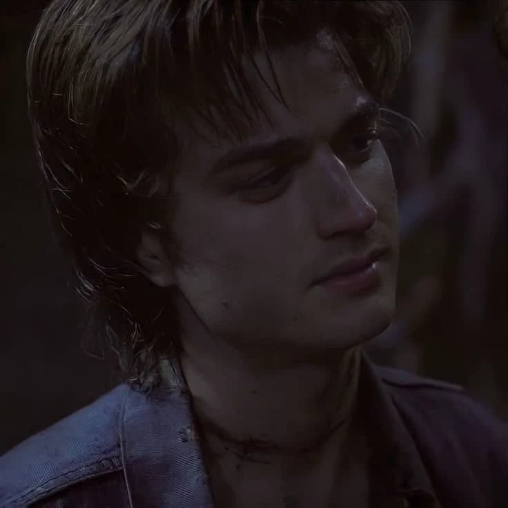 Steve Harrington thumbnail