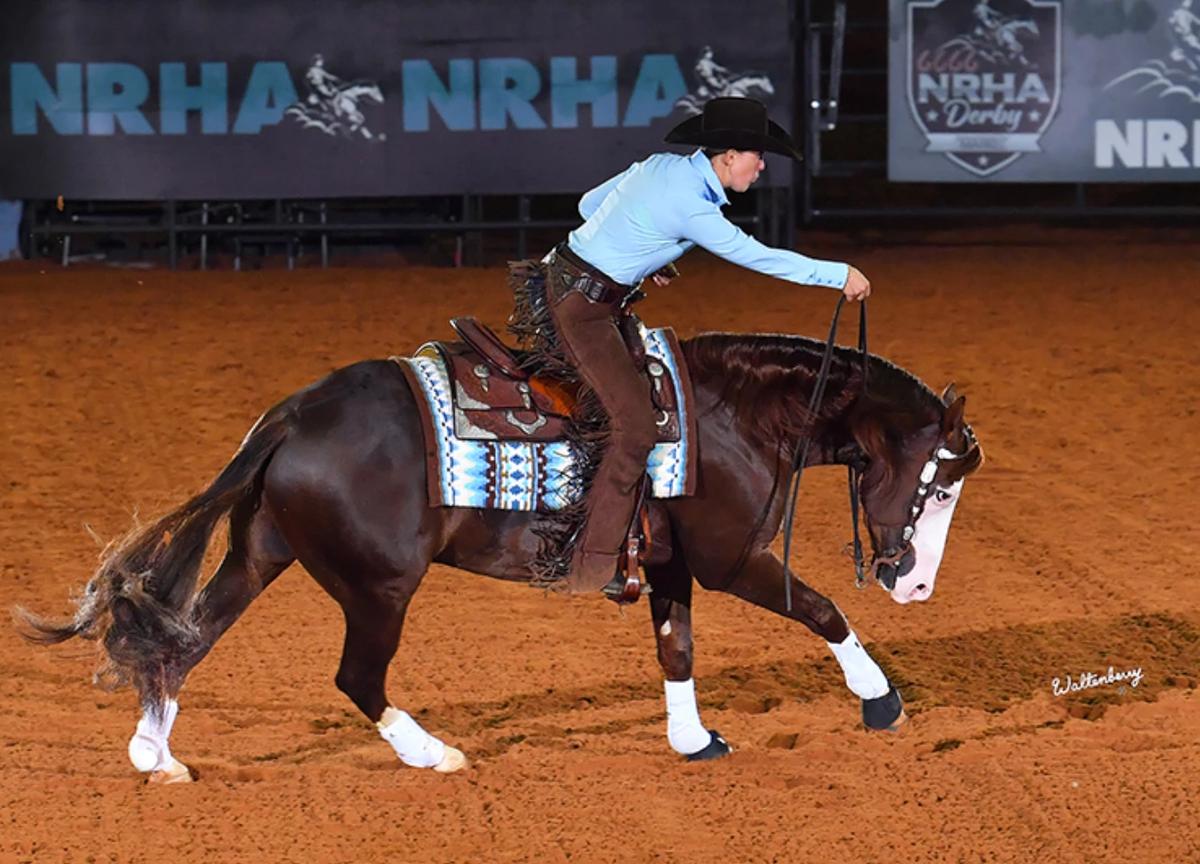 Reining horse thumbnail
