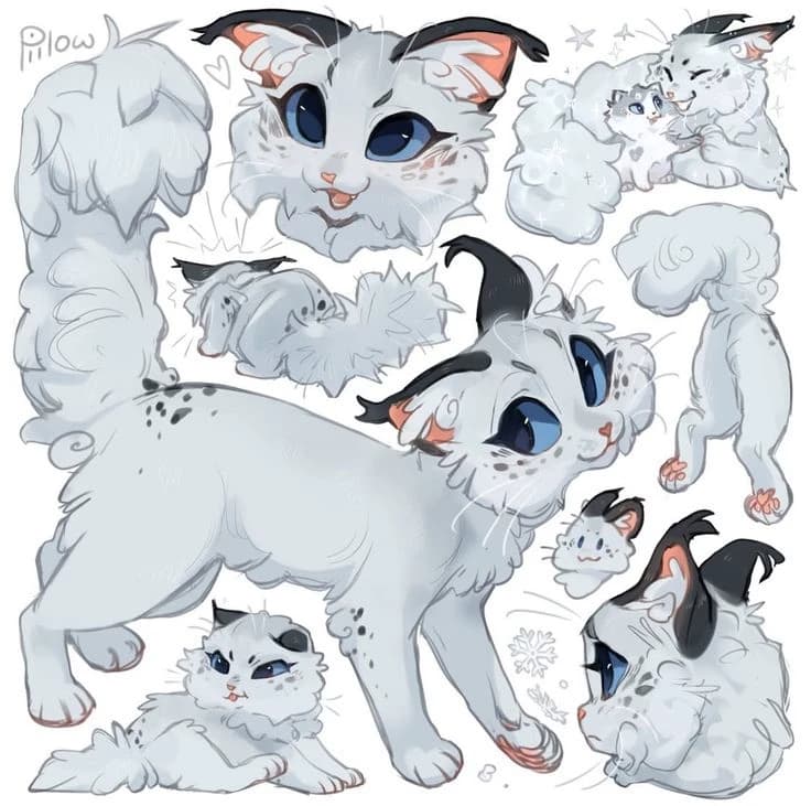 Littlefeather (Warrior Cats) thumbnail