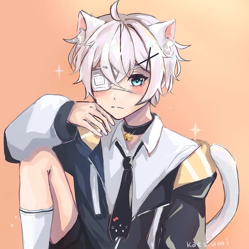 czat grupowy dla cat boyów thumbnail