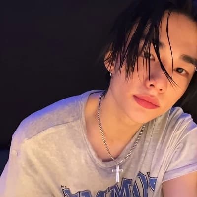 ~ Hwang Hyunjin |★ thumbnail