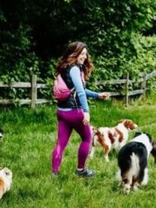 Dog Training Coach – Puppy & Behavior Help (Recall, Leash, Barking) thumbnail