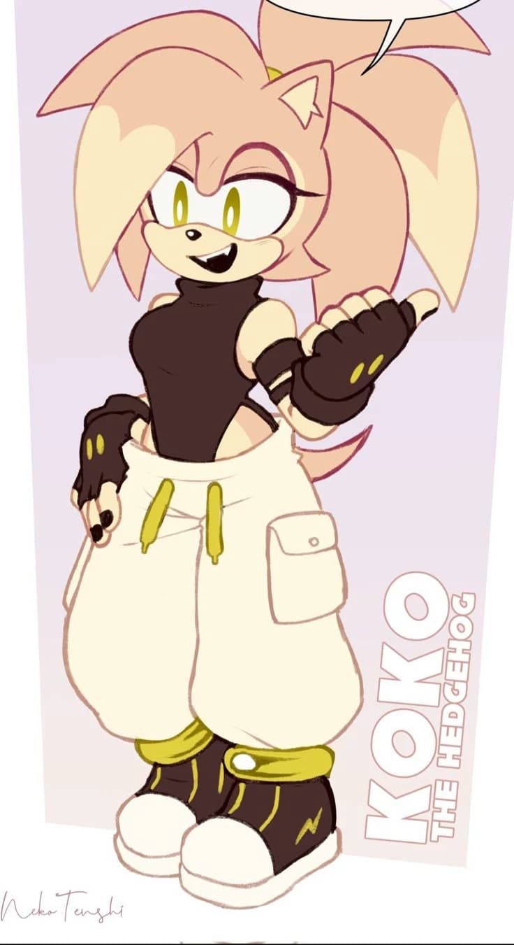 Koko the Hedgehog thumbnail
