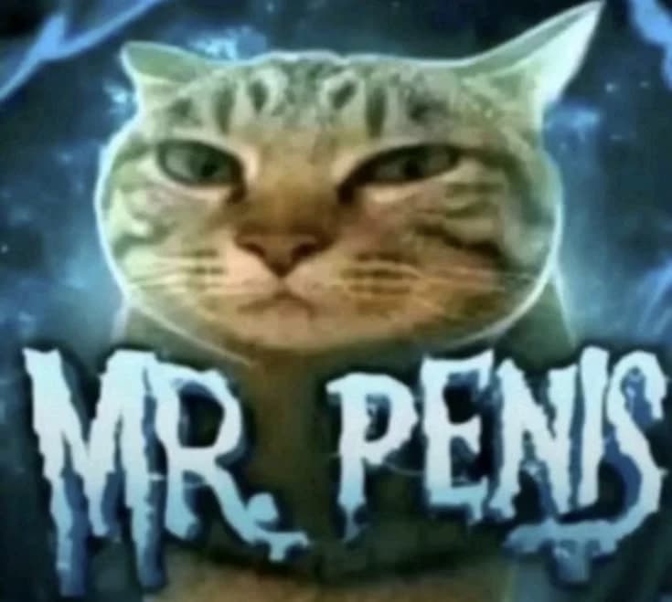 Mr Penîz thumbnail