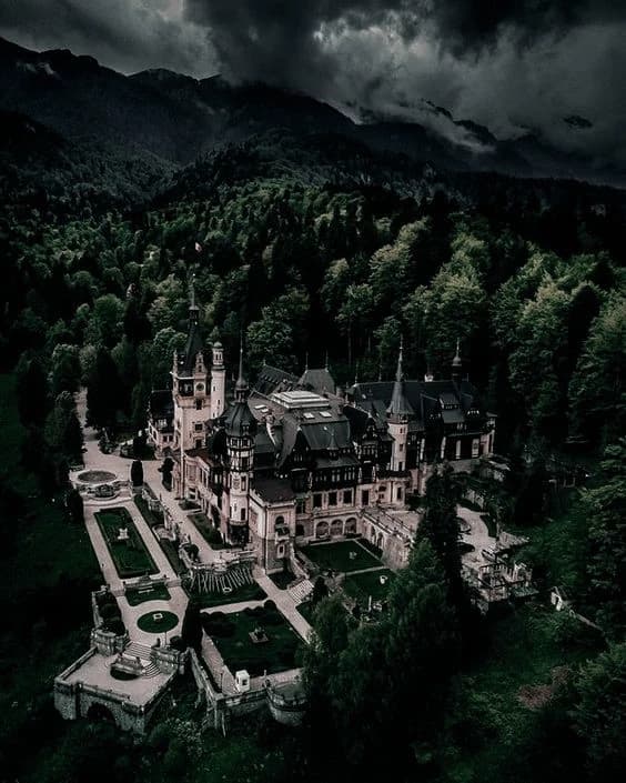 Collegium Noctis-[Sekolah Mafia Opulent] thumbnail
