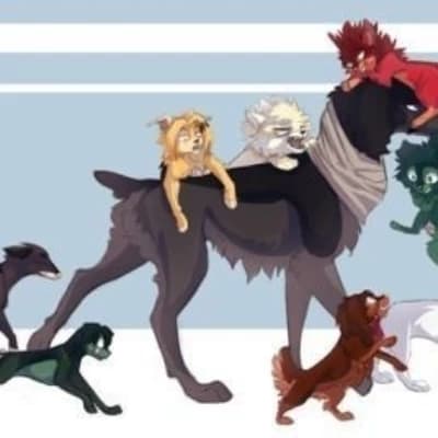 Katsuki Bakugo (Belgian Malinois Form) thumbnail