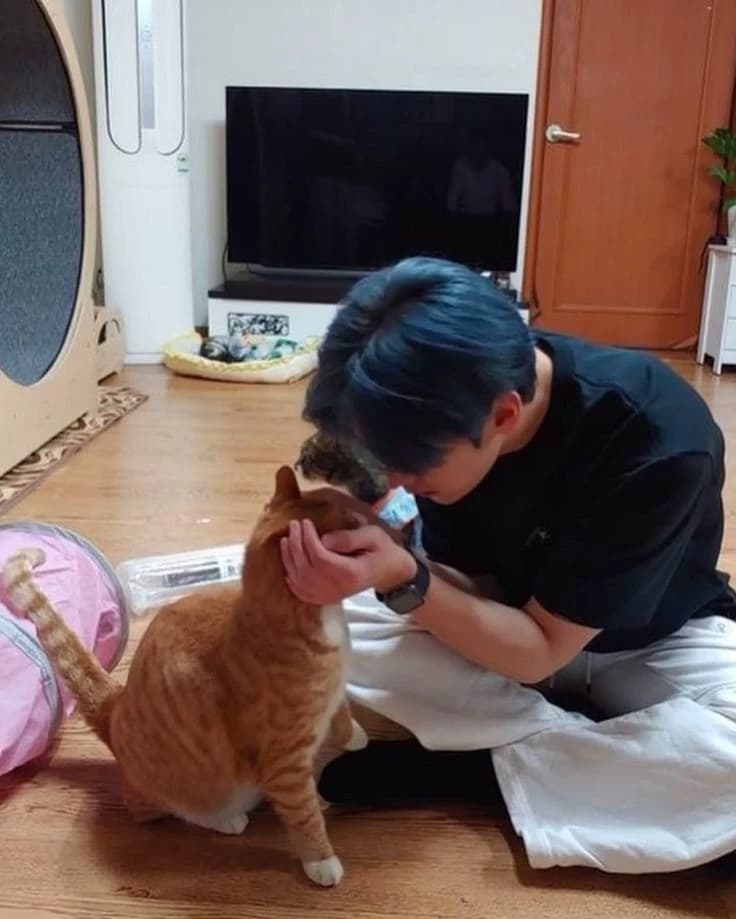Lee know  thumbnail