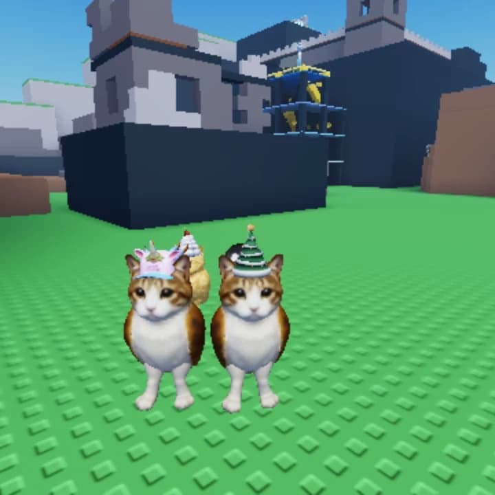 Emily (you)and poppy (Best friend)  thumbnail