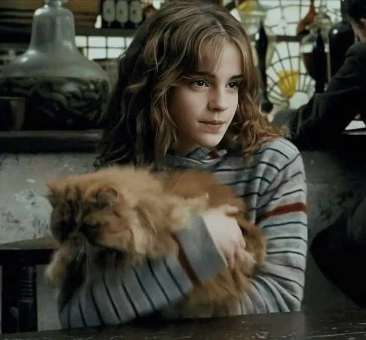 Hermione  thumbnail